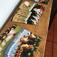 💚✌️ at Sugar Apple Organic Cafe in Key West