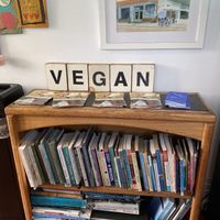 VEGAN  at Sugar Apple Organic Cafe in Key West