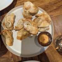 Wontons 5/5 at Padmanadi in Edmonton