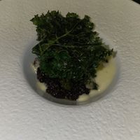 Grünkohl Linse Sauerkraut   at Bonvivant Cocktail Bistro in Berlin