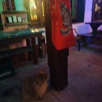  at Bieszczadzka Legenda in Ustrzyki Gorne