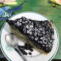 giant berry pie at Bieszczadzka Legenda in Ustrzyki Gorne