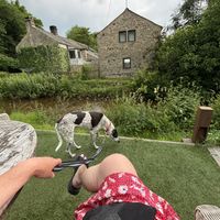 Dog friendly   at Beck Hall in Malham