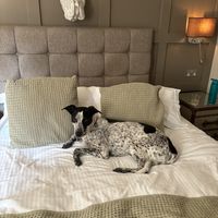 Comfy bed   at Beck Hall in Malham
