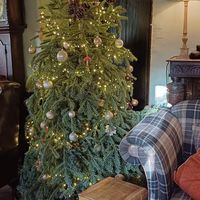 Wonderful place in the festive season #Veganuary at Beck Hall in Malham