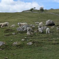  at Beck Hall in Malham