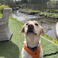 Dog friendly!   at Beck Hall in Malham