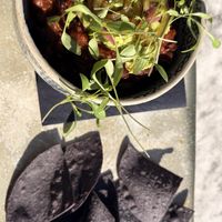 Black bean small plate  at Beck Hall in Malham