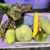 Veg from the kitchen garden   at Beck Hall in Malham