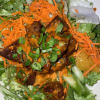 Spicy peanut seitan strip salad   at Fire On The Mountain - Wash Park in Denver