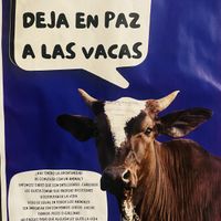   at Na Tlali in Mexico City