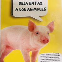   at Na Tlali in Mexico City