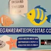   at Na Tlali in Mexico City