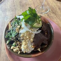 Coastal mole   at Na Tlali in Mexico City