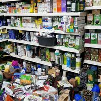 Haphazard  at Health Craze in South West London