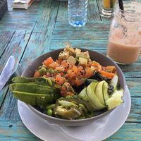 Vegan poke bowl at Fat Cats in 