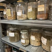   at Pipoca Zero Waste Store in South West London