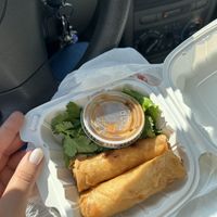 Tofu spring rolls with peanut sauce  at The Rolling Spring Roll in Syosset