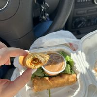 Tofu spring rolls with peanut saucee  at The Rolling Spring Roll in Syosset