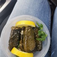 Stuffed grape vines at Balila in Oakleigh