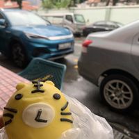 Cute tiger red bean bun 🐯 #Veganuary at Dough Magic 扑面而来 - Chinatown in Central Singapore