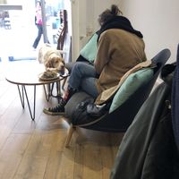   at Virgule in Toulouse