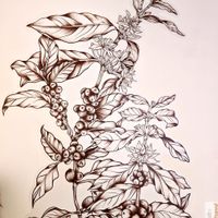 Deco at Virgule in Toulouse