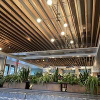 Interior   at Wildseed in San Francisco