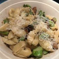 Pug  at Wildseed in San Francisco