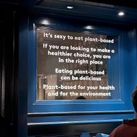 Wall inspiration at Wildseed in San Francisco