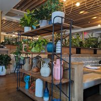  at Wildseed in San Francisco