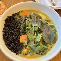 Spicy Yellow Curry   at Wildseed in San Francisco