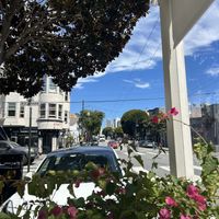 View from outside seating   at Wildseed in San Francisco