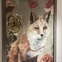   at Wildseed in San Francisco