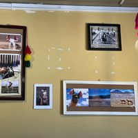 Wall of llama photos  at Llama Cafe in Uyuni