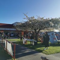  at Vegan Night Market in Christchurch