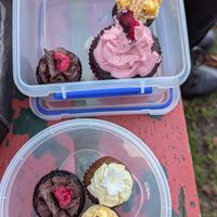  at Vegan Night Market in Christchurch