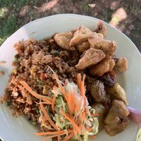   at Vegan Night Market in Christchurch