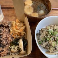Mushroom lunch at Hitokokyu in Tokyo
