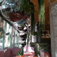 Techo at Run Run Run in Madrid