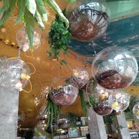 Techo at Run Run Run in Madrid