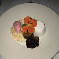 Vegan panna cotta  at Nautilus in Port Douglas