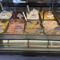 8 vegan options   at Gelateria Dei Coltelli in Williston Park