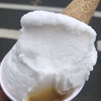 Coconut passion fruit   at Gelateria Dei Coltelli in Williston Park