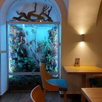 Interior of the place at Oaza Joyful Kitchen in Zagreb