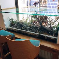  at Oaza Joyful Kitchen in Zagreb