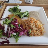 Broccoli, some sauce, protein patties, salad, and quinoa at Oaza Joyful Kitchen in Zagreb