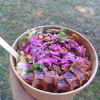 Doner salad bowl at Vegitat in Zurich