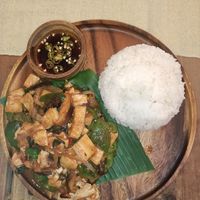 Tofu and mushroom Pad Krapow at Two Little Birds in Luang Prabang