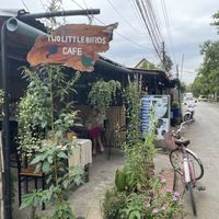  at Two Little Birds in Luang Prabang